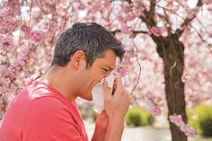 Typische Heuschnupfensymptome sind Niesattacken, Schnupfen, tränende Augen und Juckreiz.