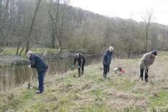 Am Ufer der Schwartau, südlich von Hobbersdorf, pflanzen Mitglieder des Rotary Clubs Lübecker-Bucht/ Timmendorfer Strand die ersten 50 Schwarzerlen (v.l.: Dr. Herbert Thiele, Dietrich Klindwort, Dr. Kersten Jungk, Dr. Axel Bruch).