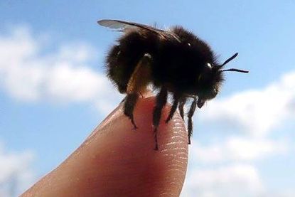 Frostig wird es für die Nachwuchsstudis bei der Vorlesung von der Polarforscherin Dr. Gerit Birnbaum, denn sie nimmt die Kleinen mit auf eine Polarexpedition.