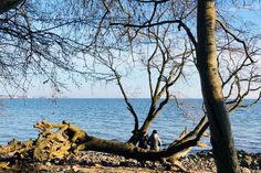 Ein besonders schöner Rastplatz mit Blick auf die Ostsee.