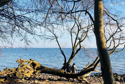 Ein besonders schöner Rastplatz mit Blick auf die Ostsee.