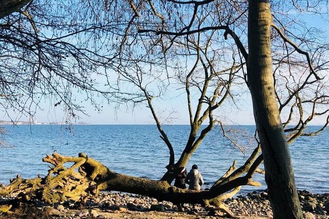 Ein besonders schöner Rastplatz mit Blick auf die Ostsee.