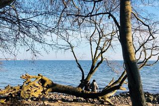Ein besonders schöner Rastplatz mit Blick auf die Ostsee.