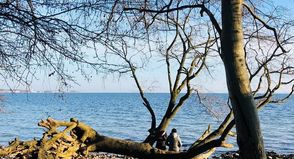 Ein besonders schöner Rastplatz mit Blick auf die Ostsee.