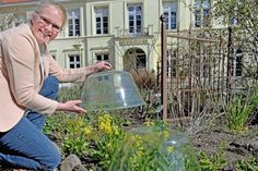 Museumsleiterin Julia Meyer zeigt, wie Glasglocken früher als Minitreibhaus zur Beschleunigung der Pflanzenkultur verwendet wurden – die Primeln, die hier exemplarisch unter die Haube kommen, wären mit Hilfe dieses Hütchentricks schon vor Wochen und nicht erst Ende April zur Blüte gekommen.  Fotos: Schneider