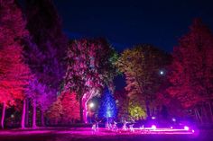 Der Park ist von allen Seiten aus zugänglich. Um keine Lichtstation zu verpassen, sollte man diese in der Reihenfolge ablaufen.