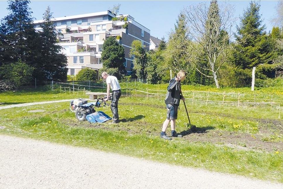 Blühstreifen runden Arbeiten am „Grünen Klassenzimmer“in Bad Schwartau  ab.