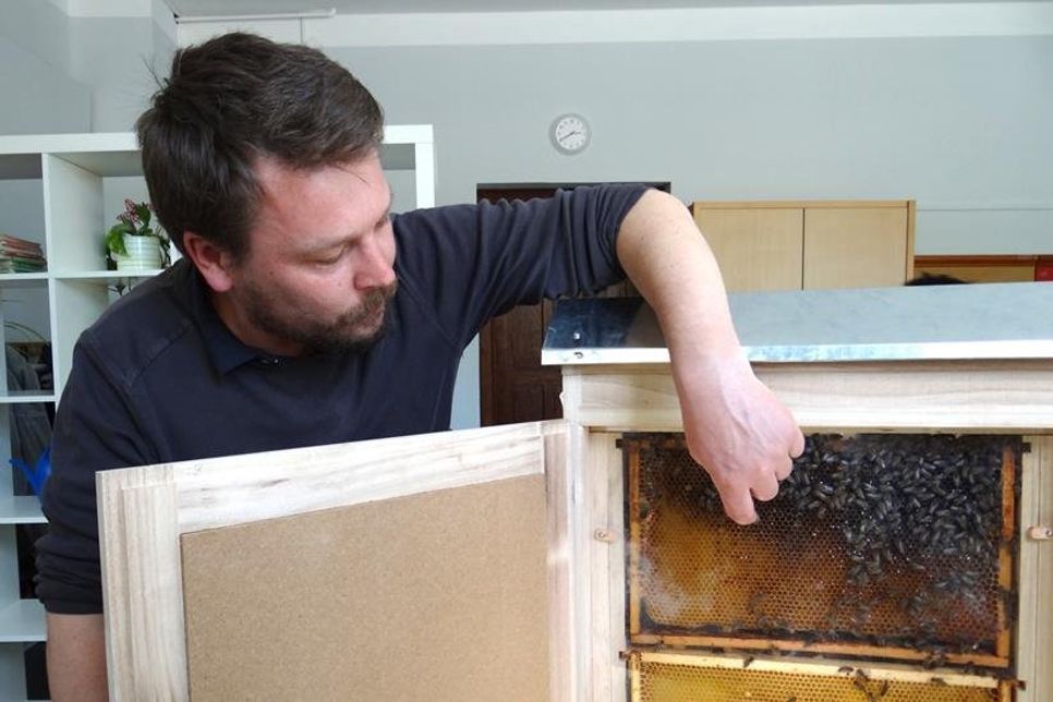 Christian Rauhut gibt Einblicke in sein Bienenvolk (Foto H. Rhein).