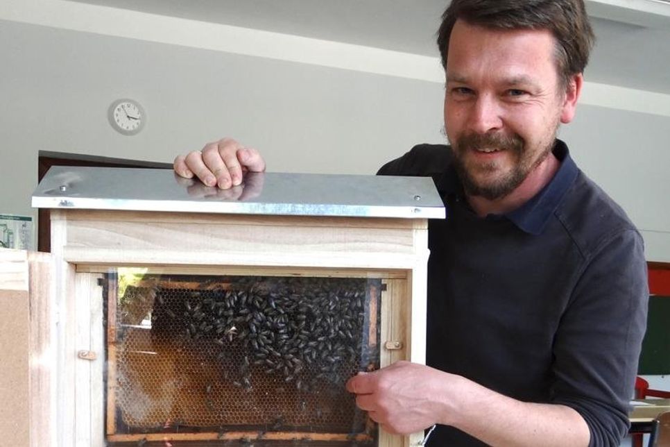 Christian Rauhut gibt mit einem Schaukasten Einblicke in sein Bienenvolk (Foto H. Rhein).