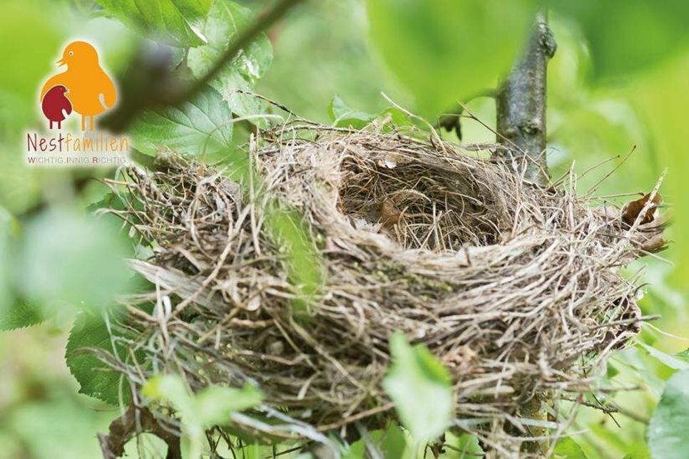 nestfamilien