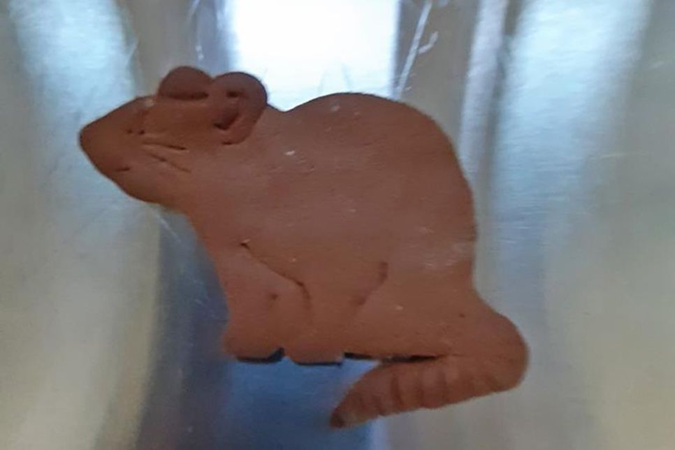 Das Ergebnis: Zum Reinknuspern!