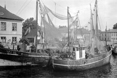 Fischkutter 1952.