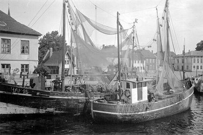 Fischkutter 1952.