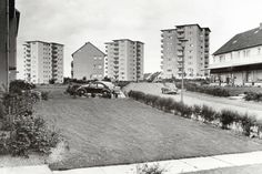 Weidenkamp 1965.