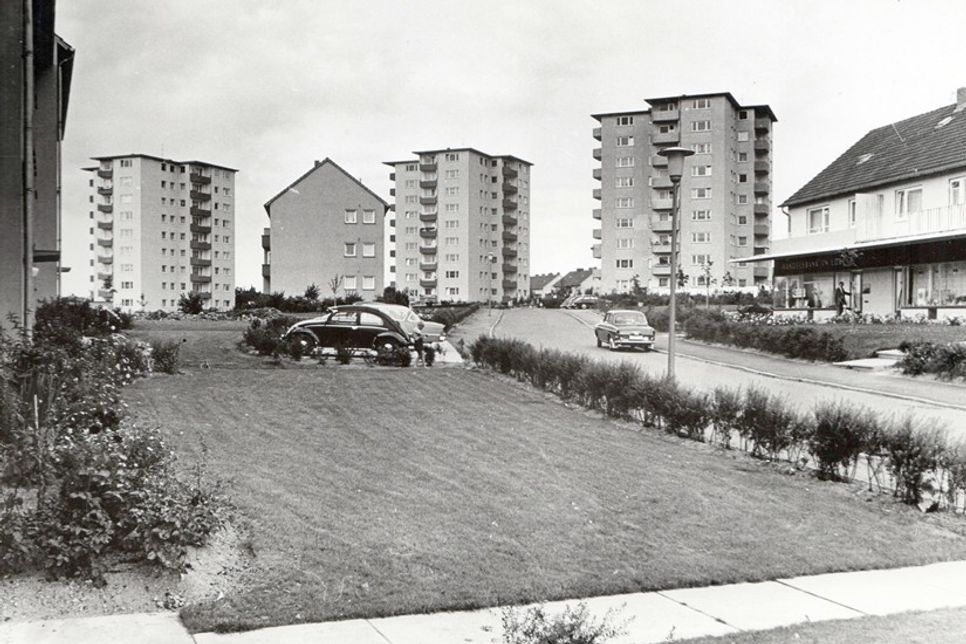 Weidenkamp 1965.