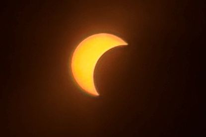 Auch in Neustadt war der Himmel klar, sodass diese Großaufnahme gelingen konnte.