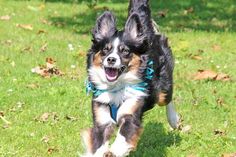 Er kommt lachend ins Ziel