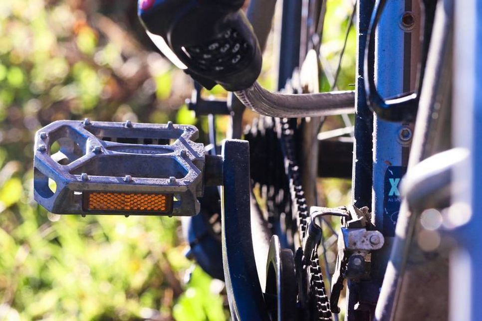 Die Hundeleine verfing sich im Vorderrad. Die Hundehalterin ging nach dem Sturz einfach weiter.