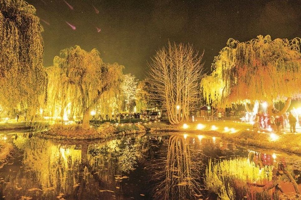 Beim Haffkruger Lichterfest verwandeln wunderschöne Illuminationen den Haffwiesenpark auch in diesem Jahr wieder in ein Lichtermeer. (Foto: Veranstalter/hfr)