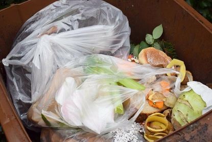 Blick in die Biotonne (Plastiktüten). (Foto: schweitzer-media)