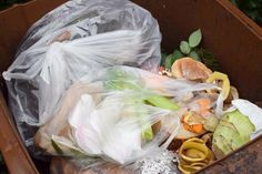 Blick in die Biotonne (Plastiktüten). (Foto: schweitzer-media)