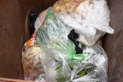 Plastiktüten bilden noch immer den größte Störstoffanteil in der Biotonne. (Foto: schweitzer-media)