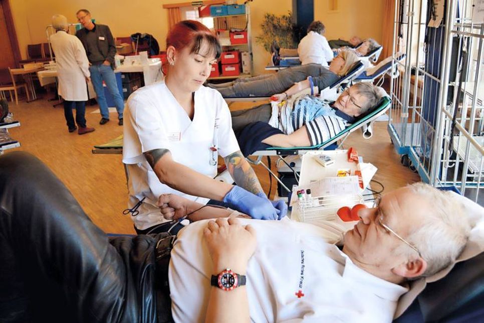 Nachdem DRK-Helferin Jessica Ostrowski alles vorbereitet hat, spendet Peter Rocksien zum 125. Mal einen halben Liter Blut. Insgesamt hat er damit 62,5 Liter des wichtigen Lebenssaftes zur Rettung anderer zur Verfügung gestellt. (Foto: Setje-Eilers)