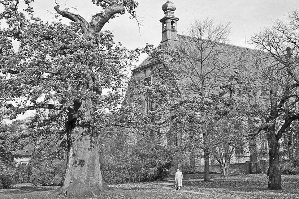 Wolfgang Petonke war auf dem Preetzer Klosterhof zu Hause und machte dort besonders viele Aufnahmen.