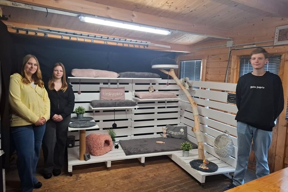 Celine, Leonie und Luca haben im Rahmen ihrer Projektarbeit eine aufwendig gestaltete Katzen-Luxuslandschaft gebaut. Das „Meisterstück“ soll nun verkauft werden.