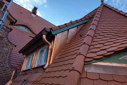 Das Team von Dachtechnik Neustadt mit Inhaber Thomas Krüger ist von Fehmarn bis Hamburg im Einsatz.