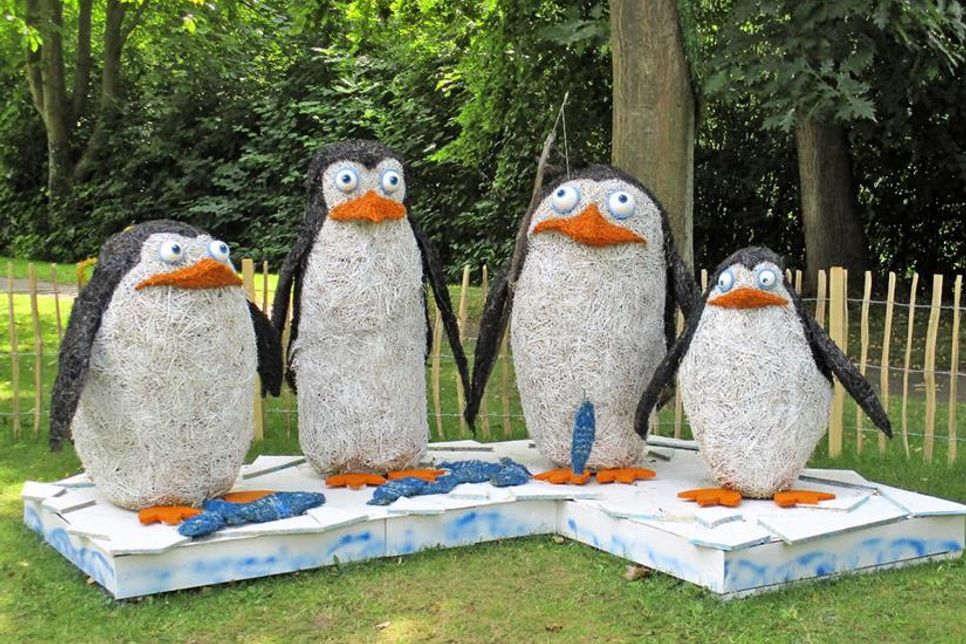 Wendtorf: Die Pinguine aus Madagascar.