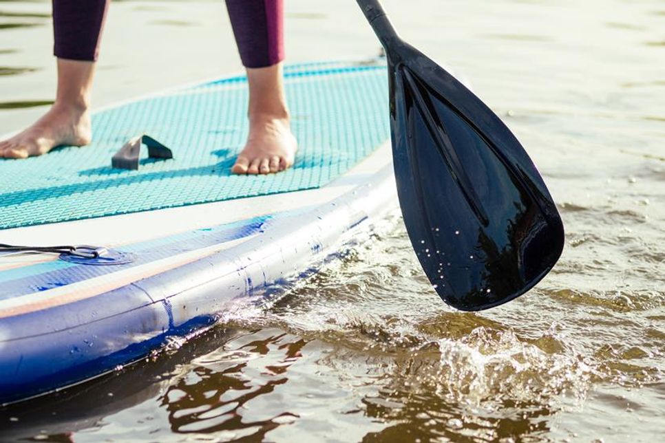Segeln verbindet Naturerlebnis mit technischem Know-how und ist seit jeher eine besondere Art, sich über das Wasser zu bewegen.