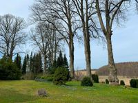 Vom Friedhof aus blickt man weit in die Hügellandschaft.