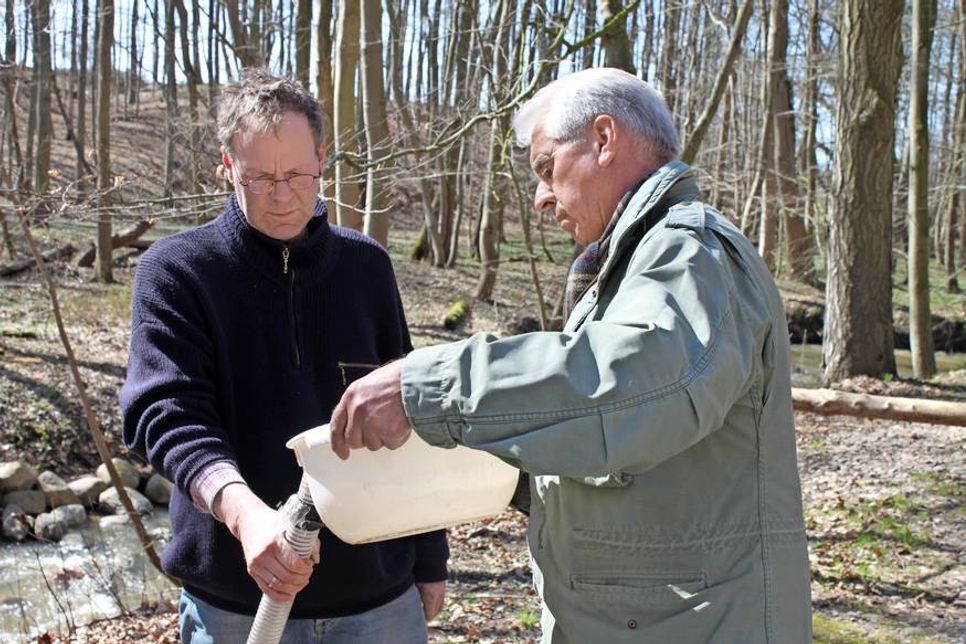 Bruno Wellm (re.) goss die Setzlinge vorsichtig in ein Rohr mit direktem Zulauf zum Lachsbach. Helmut Schwarten (lks.) hatte sie zuvor vom Kellersee angeliefert.