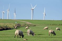 95 Prozent der Deutschen halten einen weiteren Ausbau der erneuerbaren Energien - etwa der Windkraft - für wichtig oder außerordentlich wichtig. (Foto: djd/UDI/Baumgarten)