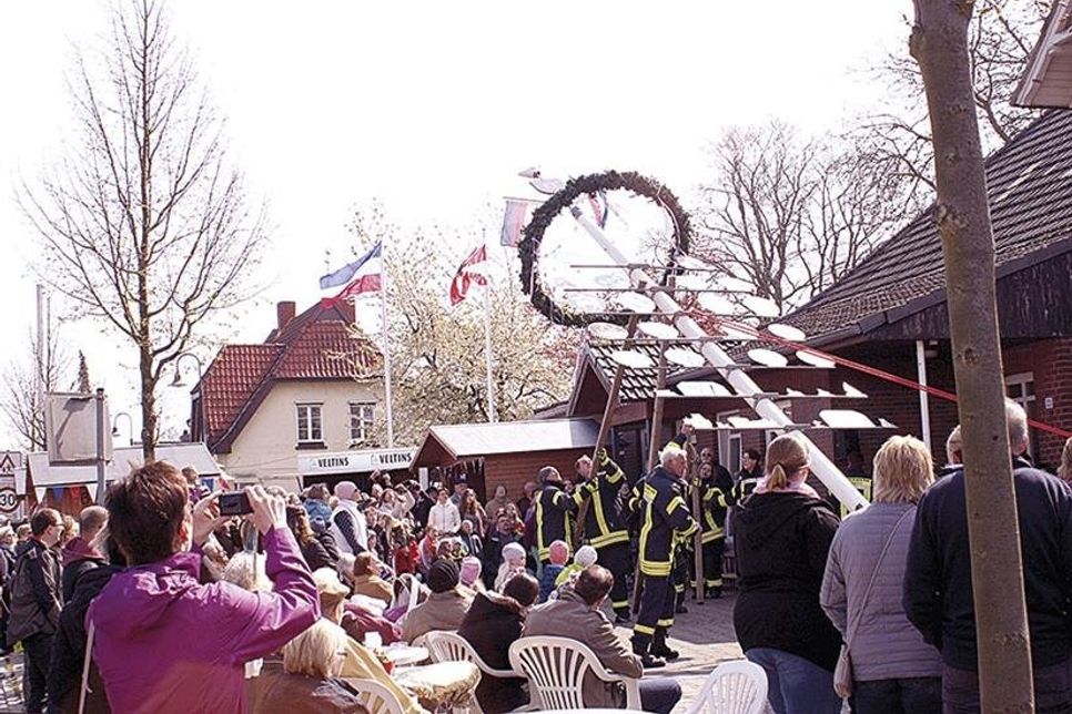 Um 11 Uhr stellt die Freiwillige Feuerwehr Pönitz zur Eröffnung des Festes den Maibaum auf. (Fotos: Reinhard Voge)