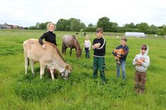 Jenny von Vulte mit Tochter Ella (7), Simon (13), Marie (10) und dem siebenjährige Michael (v. lks.). An ihrer Seite beziehungsweise auf dem Arm: Ochse Bruno, Pferd Roany und die Hühner Hoppsi, Goldi und Caruso (ebenfalls v. lks.).