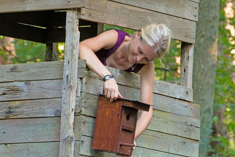In Nistkästen können sich Parasiten und Krankheitserreger vermehren. Deshalb ist es wichtig, sie regelmäßig zu reinigen. Foto: DJD/DJV/Sylvia Urbaniak