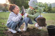 Früh gesetzte Bäume und Sträucher nutzen die natürliche Bodenfeuchte und entwickeln bis zum Sommer ein kräftiges Wurzelsystem.