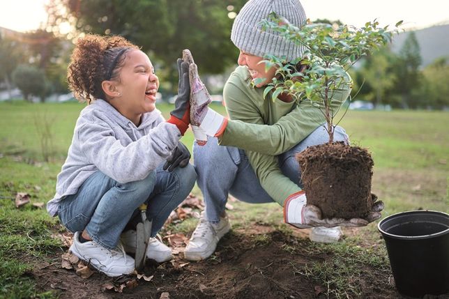 Früh gesetzte Bäume und Sträucher nutzen die natürliche Bodenfeuchte und entwickeln bis zum Sommer ein kräftiges Wurzelsystem.