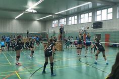 Neustadt. Volle Halle im letzten Vorrunden-Spieltag der weiblichen U18 in der Gemeinschaftsschule. Mit sieben Mannschaften wurde im Modus „jeder gegen jeden“ gespielt. Nach 21 Spielen standen die Platzierungen fest. Die jungen Damen konnten entspannt antreten, da sie zusammen mit den Jungen als ausrichtender Verein für die Landesmeisterschaft U18 gesetzt sind. Diese findet am 2. und 3. Februar in der Gogenkrog-Halle statt. Dort sind acht Mädchen- und sechs Jungenmannschaften im Wettkampf um den Titel am Start. (red)