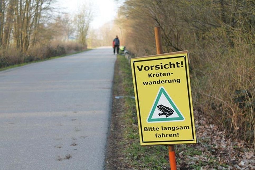 Ein Hinweisschild gemahnt die Verkehrsteilnehmer zur Rücksichtnahme und vorsichtigen Fahrweise im Bereich des Krötenwechsels.