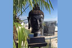 Die schwere, große und auffällige Buddha-Statue aus Bronze wurde aus dem oberen Bereich einer Beach-Lounge in der Strandallee entwendet.