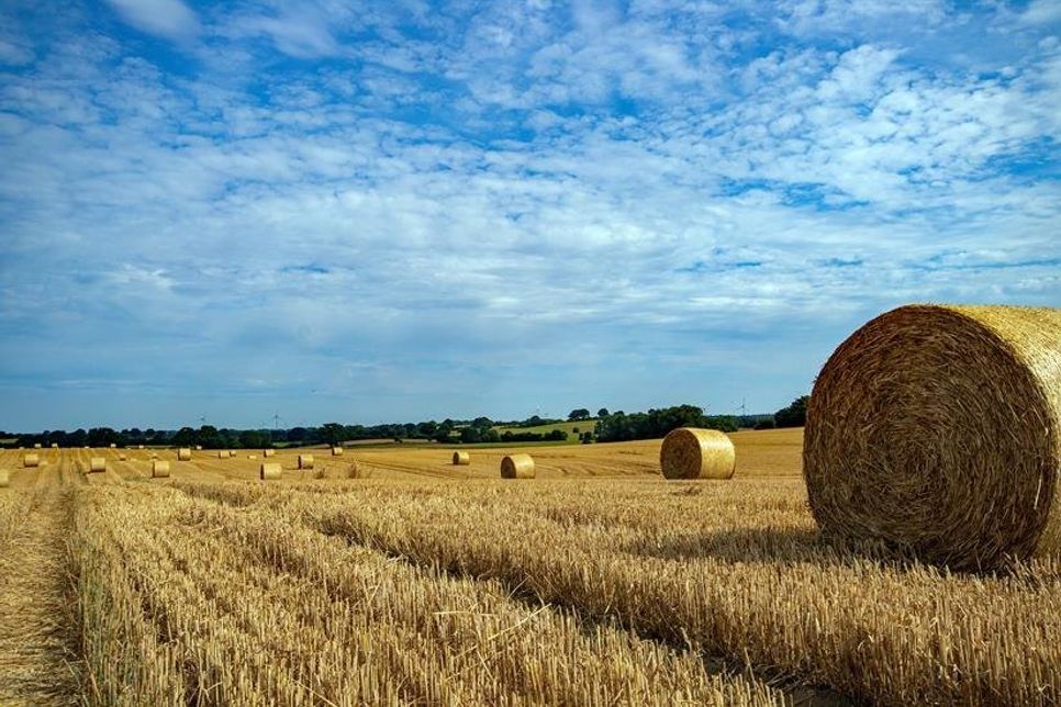 Himmel über Suxdorf – Foto: Stephan Rockenhäuser.