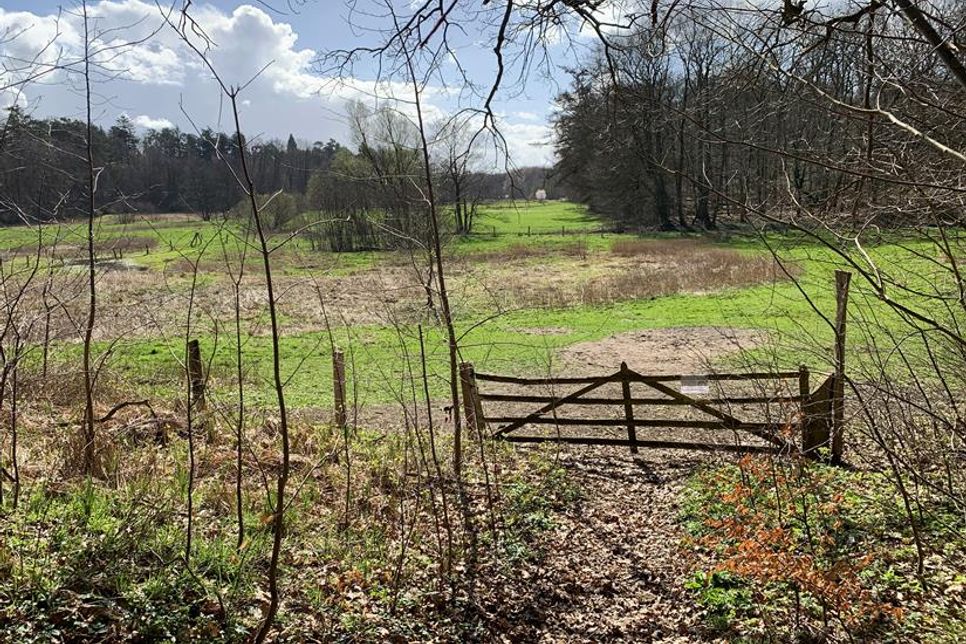 Einfach nur Ruhe: Auf der Wanderung gibt es reichlich davon.