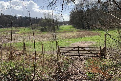 Einfach nur Ruhe: Auf der Wanderung gibt es reichlich davon.