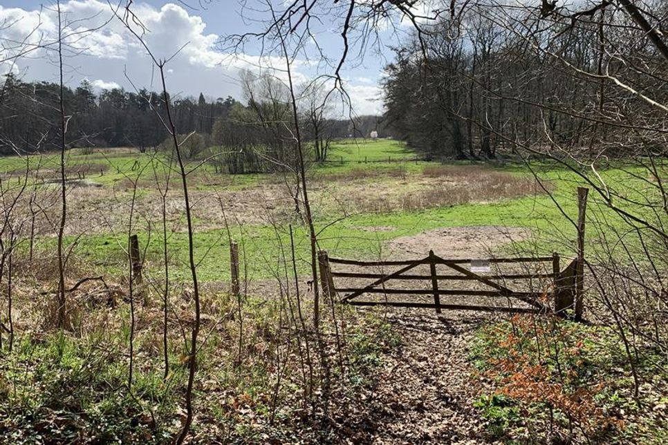 Einfach nur Ruhe: Auf der Wanderung gibt es reichlich davon.
