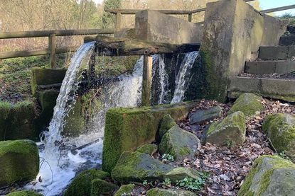 Blick auf den ehemaligen Standort des Mühlenrads (2), wo das Wasser auch heute noch kraftvoll aus dem Mühlenteich strömt.