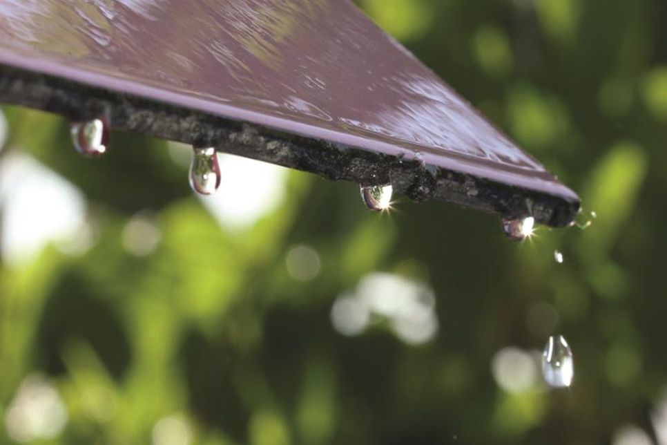 Ein großer Vorteil von Regenwasser ist dessen gute Grundqualität.
