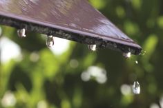 Ein großer Vorteil von Regenwasser ist dessen gute Grundqualität.